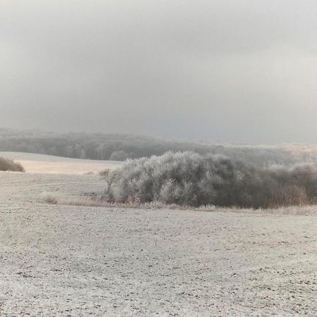 Ferienwohnung Uckermarkblick Ziehten Exteriör bild