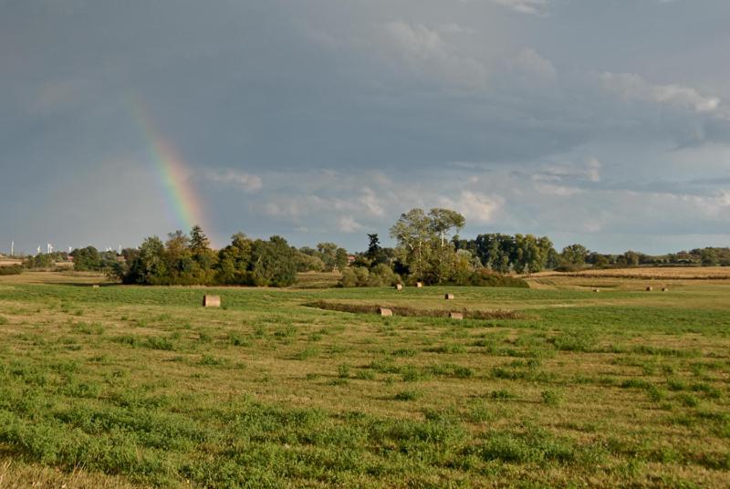Ferienwohnung Uckermarkblick Ziehten Exteriör bild