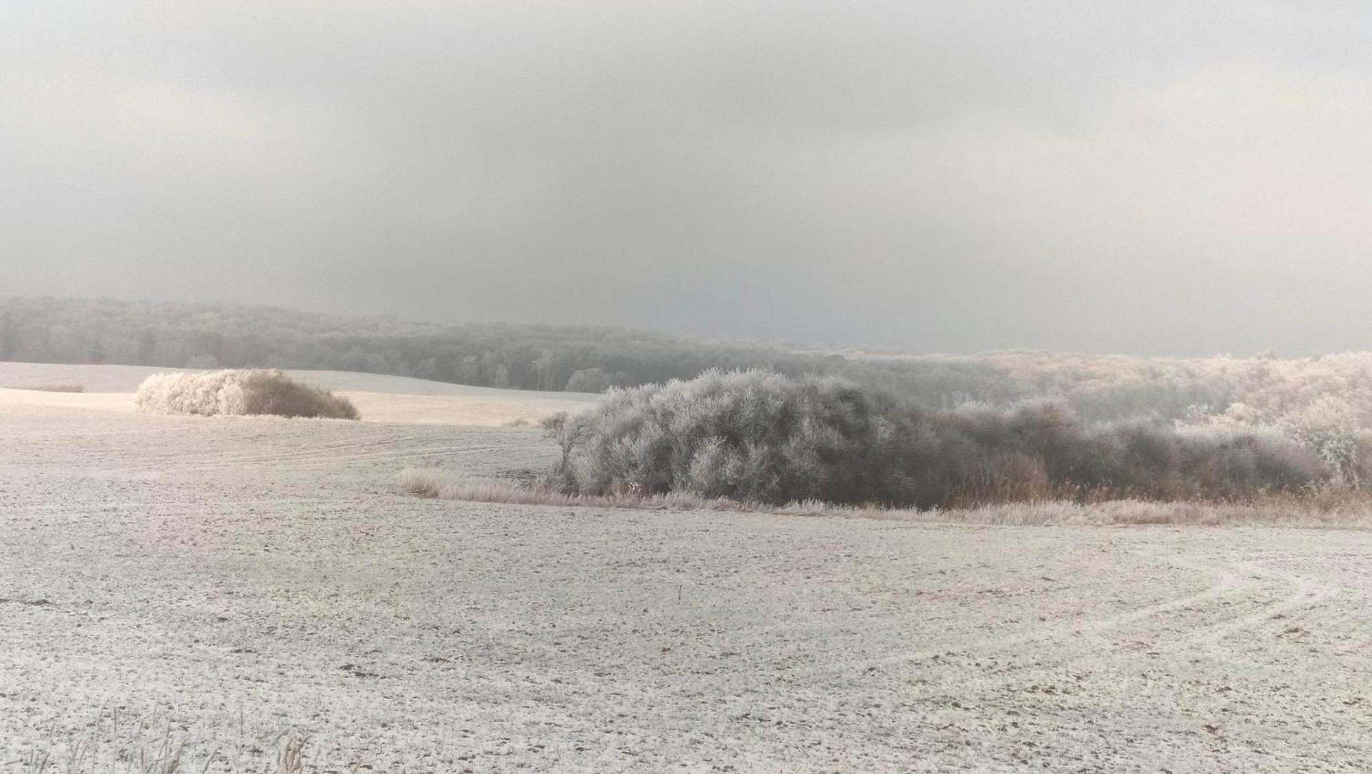 Ferienwohnung Uckermarkblick Ziehten Exteriör bild