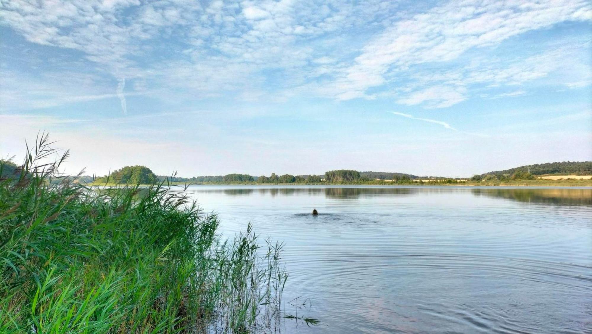 Ferienwohnung Uckermarkblick Ziehten Exteriör bild